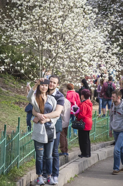 人々 はキエフの植物園のマグノリアの花を楽しむ — ストック写真
