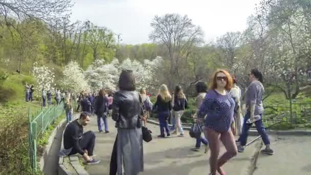 As pessoas gostam de flores de magnólia primavera no Jardim Botânico em Kiev — Vídeo de Stock