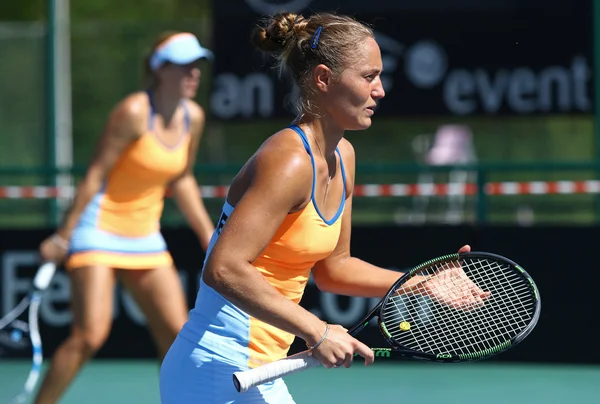 Fedcup Tenis maç Ukrayna vs Arjantin