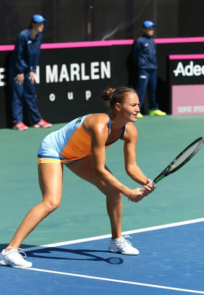 Fedcup Tenis maç Ukrayna vs Arjantin