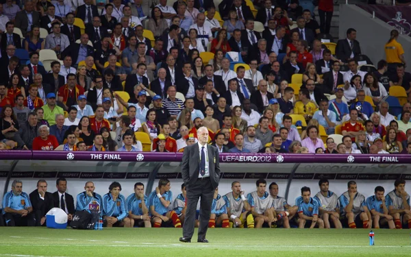 Vicente del Bosque, treinador da seleção espanhola de futebol — Fotografia de Stock
