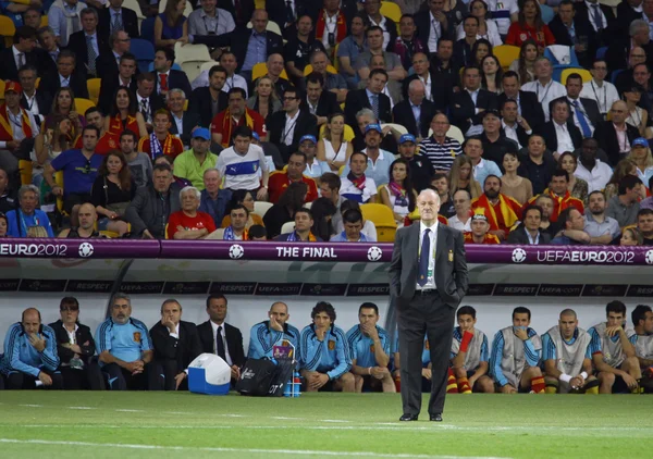 Vicente del Bosque, entrenador de la selección española de fútbol — Foto de Stock