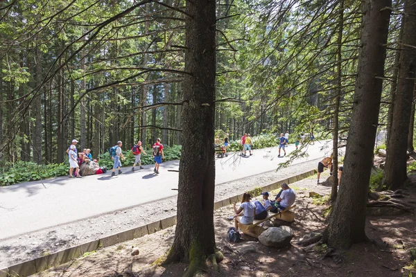 Turystów, którzy chodzą na drodze do lake Morskie Oko w Tatrach, Polska — Zdjęcie stockowe