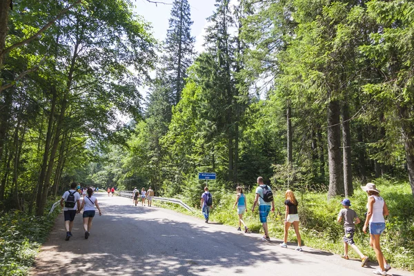 Turistas caminhando na estrada para Morskie Oko lago em High Tatra Mountains, Polônia — Fotografia de Stock