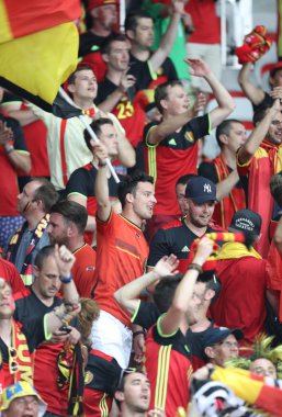 UEFA Euro 2016: İsveç v Belçika