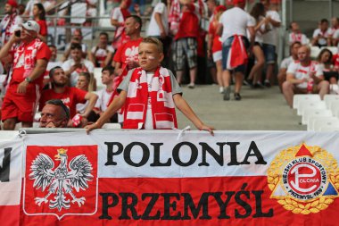 UEFA Euro 2016 oyun Ukrayna v Polonya