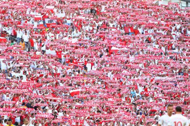 UEFA Euro 2016 oyun Ukrayna v Polonya