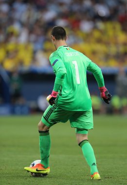 UEFA Euro 2016: İsveç v Belçika