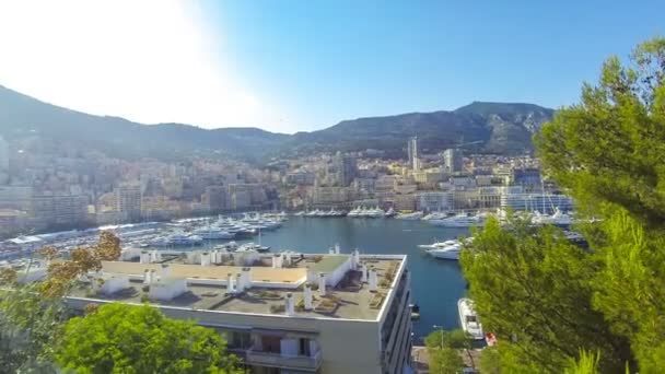 Luxe jachten in haven van Monte Carlo, Monaco — Stockvideo