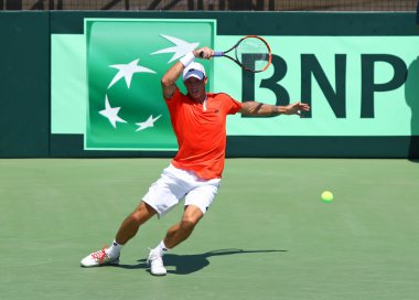 Davis Cup: Ukrayna v Avusturya