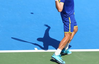 Davis Cup: Ukrayna v Avusturya