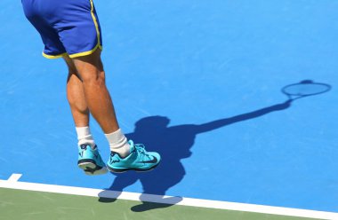 Davis Cup: Ukrayna v Avusturya