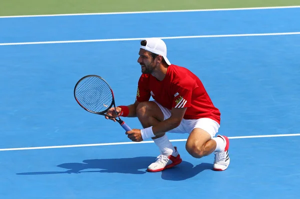 Davis Cup tennis game Ukraine v Austria — Stock Photo, Image