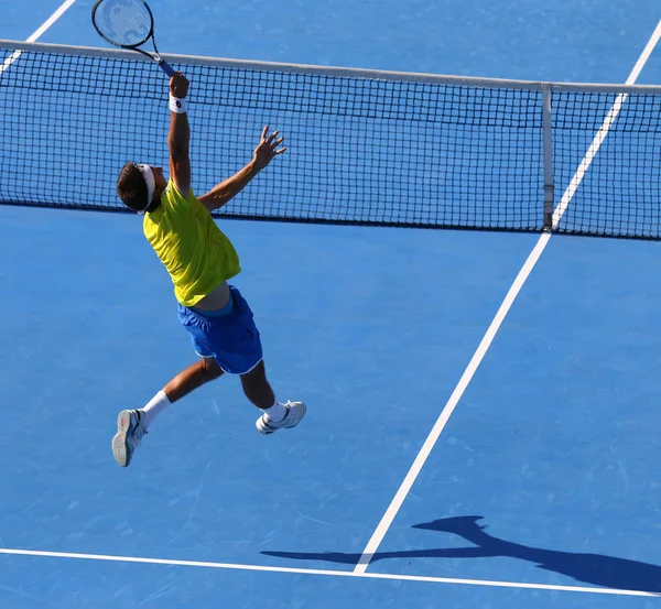 Davis Cup: Ukrayna v Avusturya — Stok fotoğraf