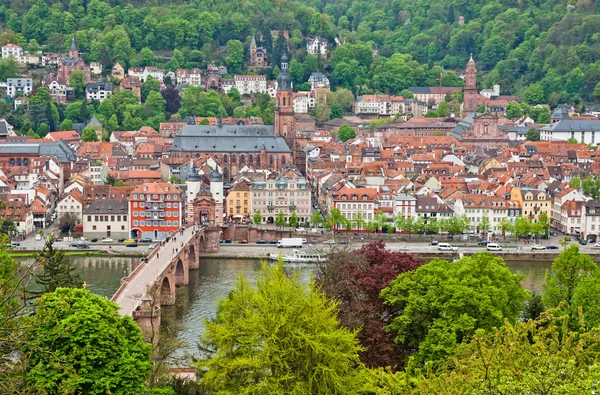 Heidelberg kent, Almanya — Stok fotoğraf