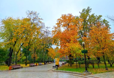 Ukrayna 'nın başkenti Kyiv' deki Shevchenko Parkı 'nın yağmurlu sonbahar manzarası
