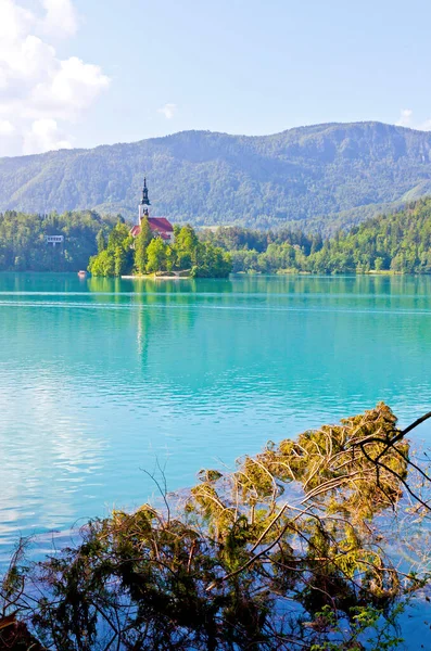 Bled Island Σλοβενικά Blejski Otok Στη Λίμνη Bled Στη Σλοβενία — Φωτογραφία Αρχείου