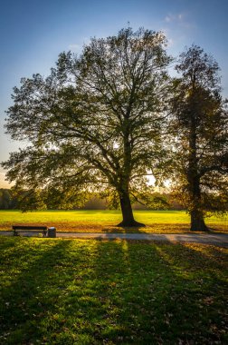 Leipzig, Saksonya, Almanya 'daki Rosenthal orman parkı. Tarihi şehir merkezinin kuzeyinde yer alan Rosenthal, Leipzig Riverside Ormanı 'nın (Almanca: Leipziger Auwald) koruma alanının bir parçasıdır.)
