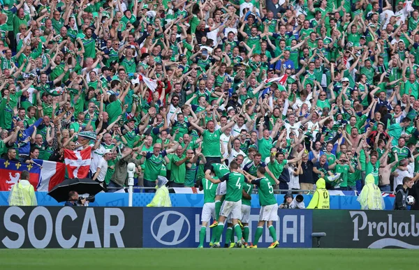 法国里昂 2016年6月16日 在2016年欧洲杯对阵北爱尔兰的比赛中 爱尔兰球迷在里昂体育场 Stade Lyon Stadium 的法庭上庆祝他们的球员进球后 北爱尔兰2比0获胜 — 图库照片