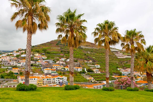 Jardín Parque Jardim Ilheu Ciudad Camara Lobos Isla Madeira Portugal — Foto de Stock