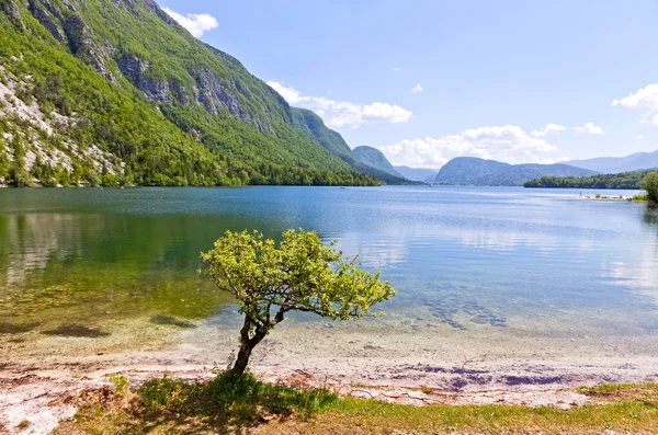 Pintoresca vista del lago Bohinj, Eslovenia — Foto de Stock