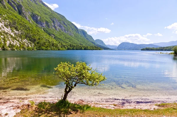 Festői kilátással a bohinj-tóra, Szlovénia — Stock Fotó