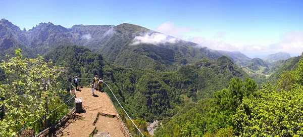 Montanhas da floresta tropical na ilha da Madeira, Portugal — Fotografia de Stock