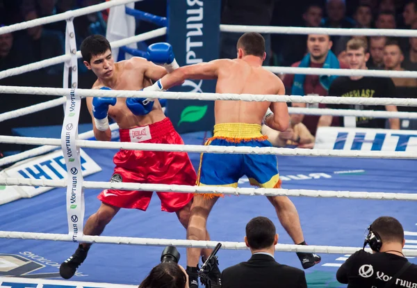 Boxing fight in Palats of Sports in Kyiv, Ukraine — Stock Photo, Image