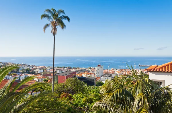 De stad van Funchal, Madeira island, Portugal — Stockfoto