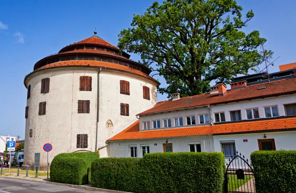 Wyrok Tower, średniowieczna Baszta w Mariborze, niechlujne — Zdjęcie stockowe