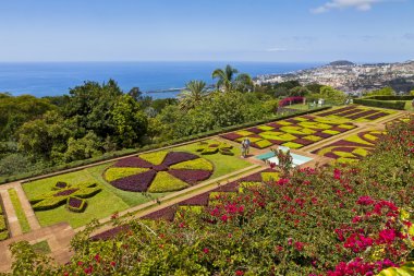 tropikal Botanik Bahçesi funchal, madeira Adası, Portekiz