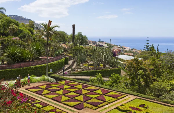 フンシャル、マデイラ島、ポルトガルの熱帯植物園 — ストック写真