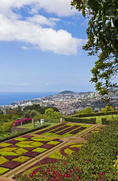 Tropikalny ogród botaniczny w funchal, wyspa Madera, Portugalia — Zdjęcie stockowe