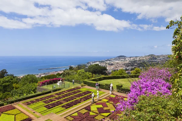 Тропический ботанический сад в Фуншале, остров Мадейра, Португалия — стоковое фото