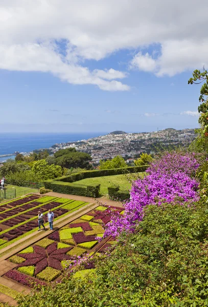 Jardim Botânico Tropical no Funchal, Ilha da Madeira, Portugal — Fotografia de Stock