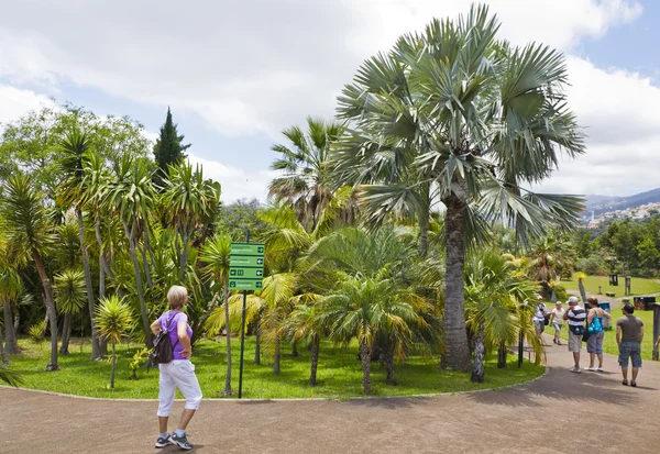 Tropische botanische tuin in funchal, madeira island, portugal — Stockfoto