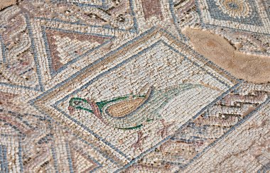 kourion, Kıbrıs'ın antik Mozaik