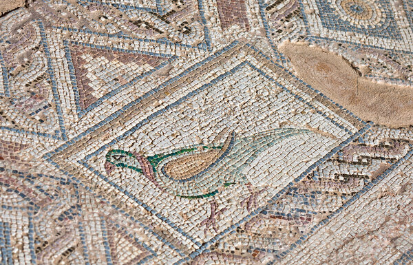 Ancient mosaic in Kourion, Cyprus
