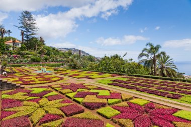 tropikal Botanik Bahçesi funchal, madeira Adası, Portekiz