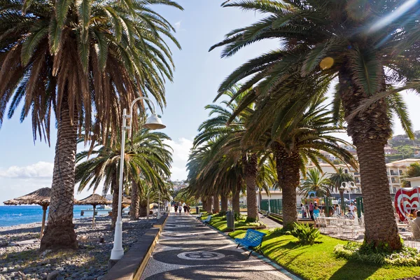 Strand in santa cruz, het eiland madeira, portugal — Stockfoto