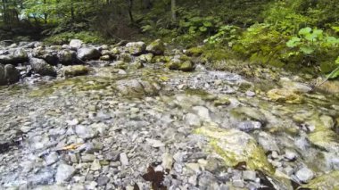 Su akışı içinde Milli Parkı Dolina Bialego yakınındaki Zakopane, Polonya