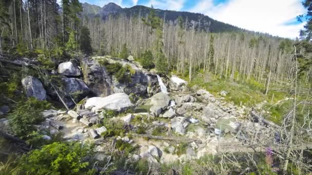 Cascades de Studeny rivière potok dans les montagnes Tatry, Slovaquie — Video