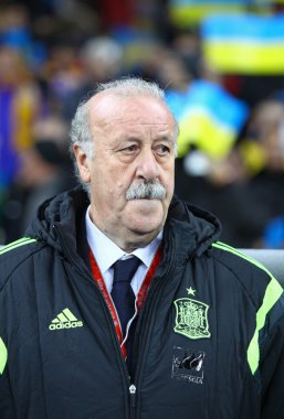 İspanya Vicente del Bosque