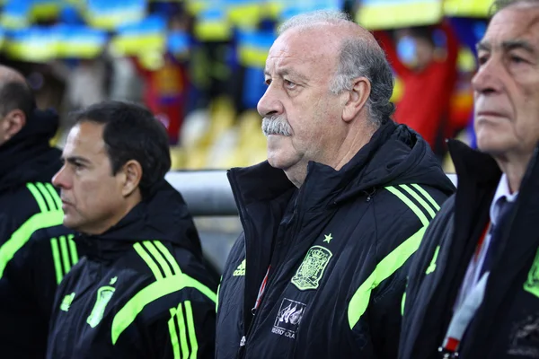 Vicente del Bosque of Spain