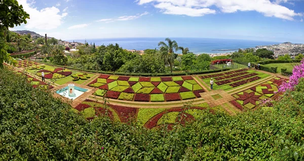 วิวภูมิทัศน์ของสวนพฤกษศาสตร์เขตร้อนในเมือง Funchal, Mad — ภาพถ่ายสต็อก