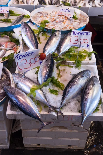 Mercado típico de pescado italiano al aire libre con pescado fresco y mariscos , — Foto de Stock