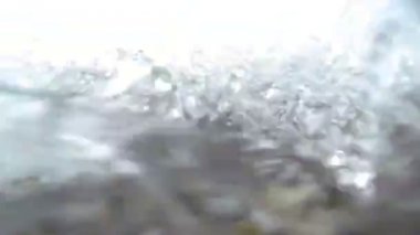 Sualtı dünyasını sığ çakıl deniz kıyısı yakalanan