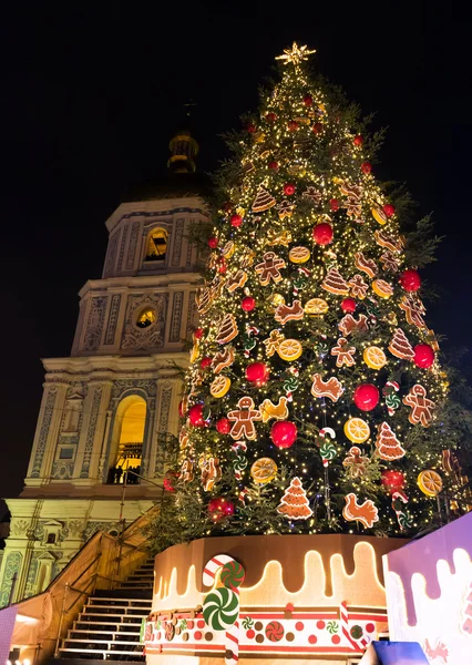 Новогодняя елка на Софийской площади в Киеве — стоковое фото
