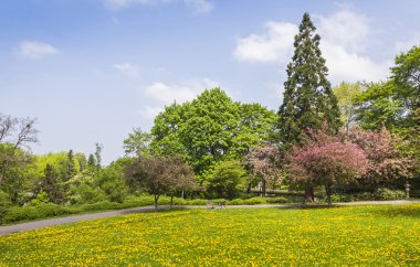 Citypark (Stadtgarten) içinde Merkezi, Freiburg im Breisgau, Almanya