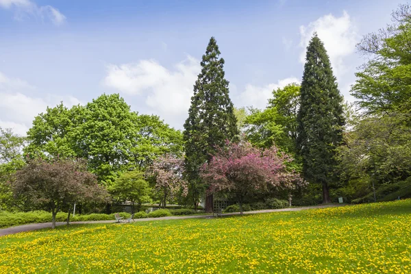 CityPark (Stadtgarten) in center of Freiburg im Breisgau, German — Stock Photo, Image